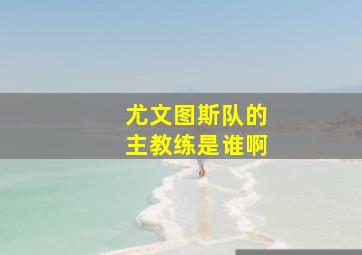 尤文图斯队的主教练是谁啊