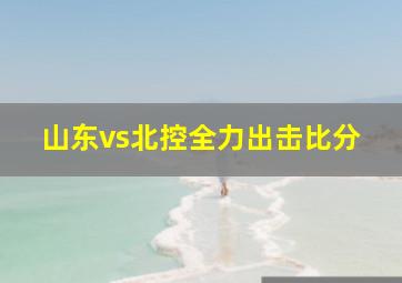 山东vs北控全力出击比分