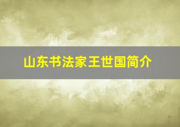 山东书法家王世国简介