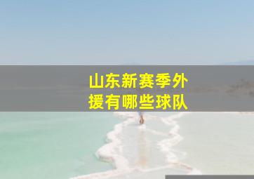 山东新赛季外援有哪些球队