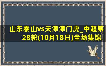 山东泰山vs天津津门虎_中超第28轮(10月18日)全场集锦