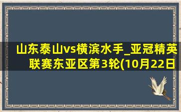 山东泰山vs横滨水手_亚冠精英联赛东亚区第3轮(10月22日)全场集锦