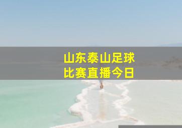 山东泰山足球比赛直播今日