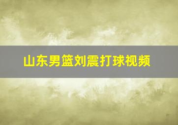 山东男篮刘震打球视频