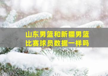 山东男篮和新疆男篮比赛球员数据一样吗