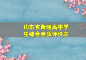 山东省普通高中学生综合素质评价表