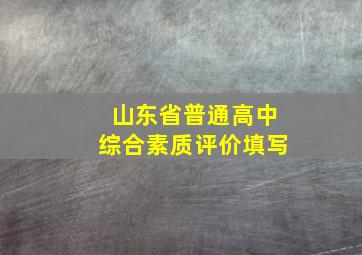 山东省普通高中综合素质评价填写