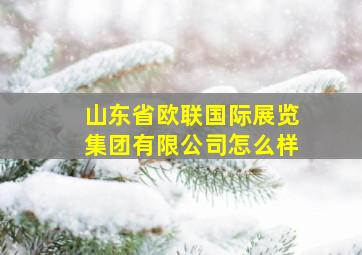 山东省欧联国际展览集团有限公司怎么样