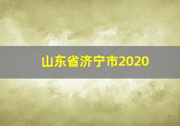 山东省济宁市2020