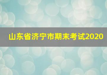 山东省济宁市期末考试2020