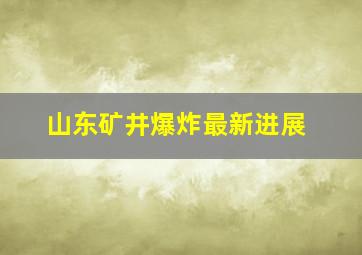 山东矿井爆炸最新进展