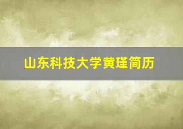 山东科技大学黄瑾简历