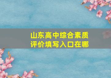 山东高中综合素质评价填写入口在哪