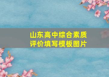 山东高中综合素质评价填写模板图片