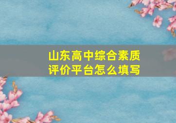 山东高中综合素质评价平台怎么填写