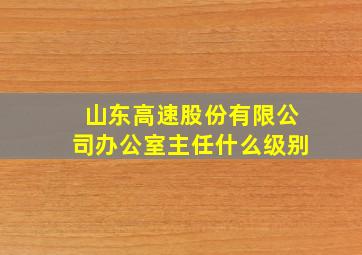 山东高速股份有限公司办公室主任什么级别