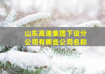 山东高速集团下设分公司有哪些公司名称