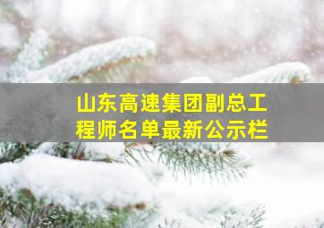 山东高速集团副总工程师名单最新公示栏