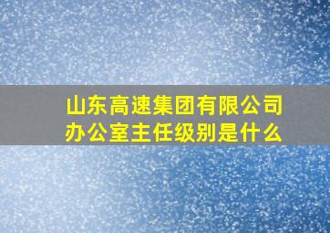 山东高速集团有限公司办公室主任级别是什么