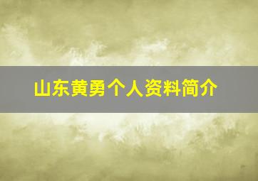 山东黄勇个人资料简介