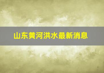 山东黄河洪水最新消息