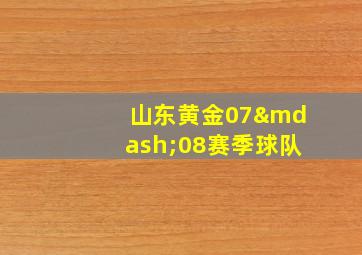 山东黄金07—08赛季球队