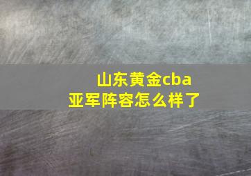 山东黄金cba亚军阵容怎么样了