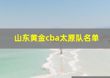 山东黄金cba太原队名单