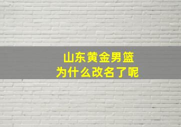 山东黄金男篮为什么改名了呢