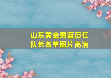 山东黄金男篮历任队长名单图片高清