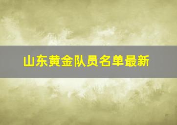 山东黄金队员名单最新