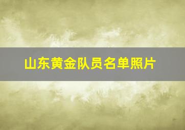 山东黄金队员名单照片