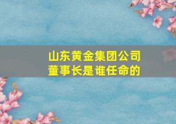 山东黄金集团公司董事长是谁任命的