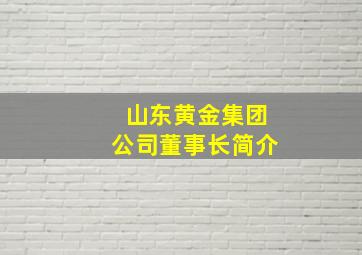 山东黄金集团公司董事长简介