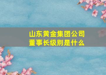 山东黄金集团公司董事长级别是什么