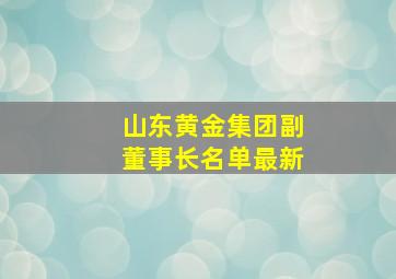 山东黄金集团副董事长名单最新