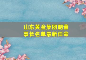 山东黄金集团副董事长名单最新任命