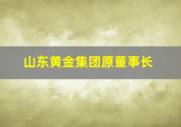 山东黄金集团原董事长