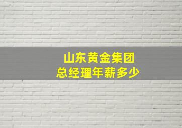 山东黄金集团总经理年薪多少