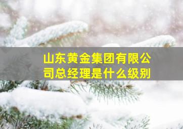 山东黄金集团有限公司总经理是什么级别