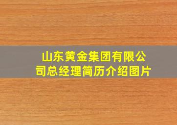 山东黄金集团有限公司总经理简历介绍图片