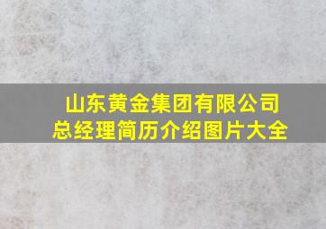 山东黄金集团有限公司总经理简历介绍图片大全