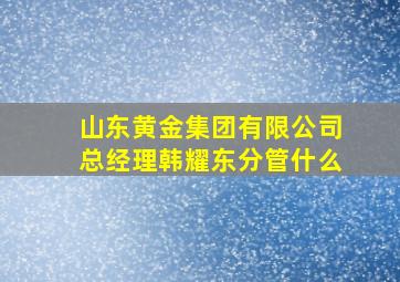 山东黄金集团有限公司总经理韩耀东分管什么