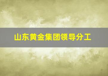 山东黄金集团领导分工