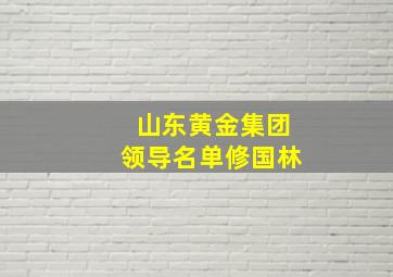 山东黄金集团领导名单修国林