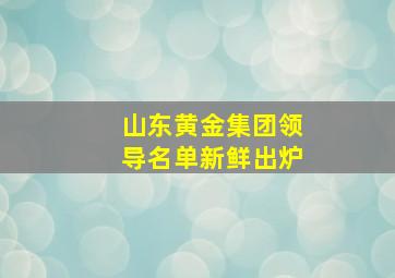 山东黄金集团领导名单新鲜出炉