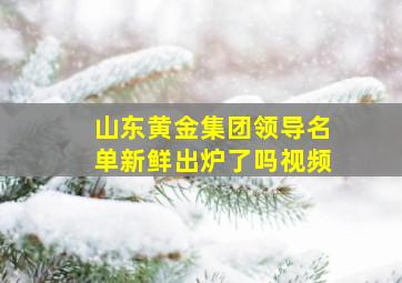 山东黄金集团领导名单新鲜出炉了吗视频