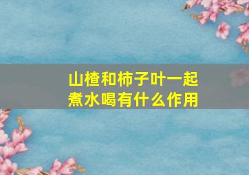 山楂和柿子叶一起煮水喝有什么作用