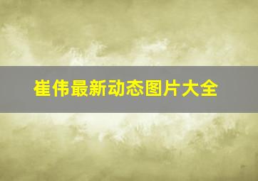 崔伟最新动态图片大全