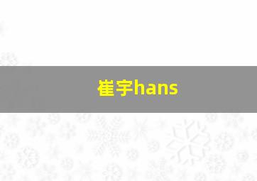 崔宇hans